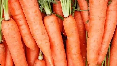 胃炎吃茄瓜,营养与健康的完美结合