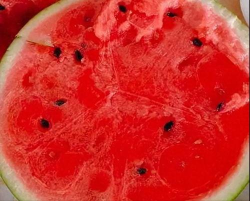 胃炎吃茄瓜,营养与健康的完美结合