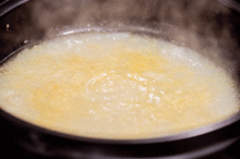 母鸡吃瓜,趣味农业新现象