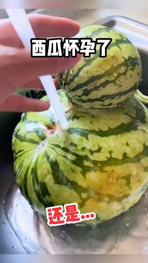 做梦吃瓜搞笑视频,搞笑吃瓜视频带你笑出腹肌