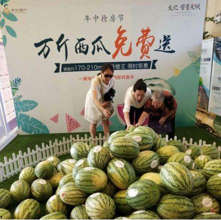 龙城广场吃瓜,热闹非凡的吃瓜现场，见证夏日街头风情