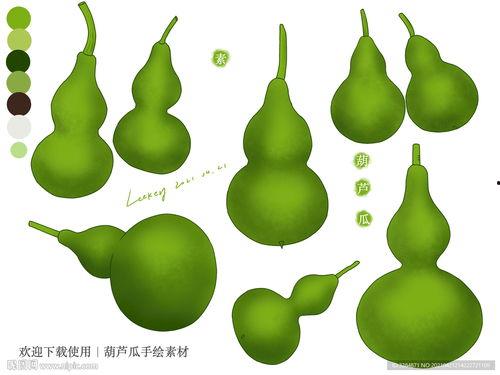 吃葫芦瓜视频素材大全,视频素材大全带你领略各式烹饪技巧