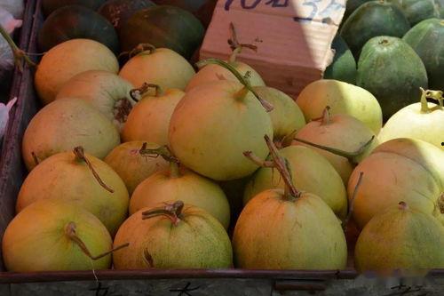 吃瓜认识的对象,揭秘吃瓜群众眼中的明星众生相