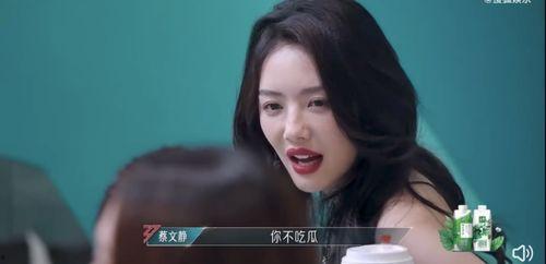 吃瓜小助理蔡文静,揭秘娱乐圈幕后故事