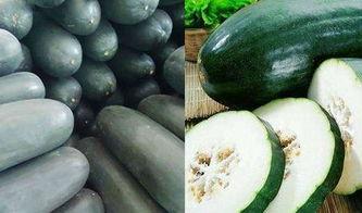 秋季吃瓜记,一场秋季吃瓜的味蕾盛宴