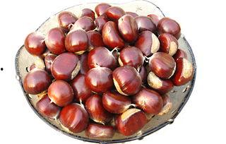 吃板栗瓜治便秘,轻松解决便秘困扰