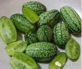 袖珍瓜怎么吃,轻松解锁美味新体验