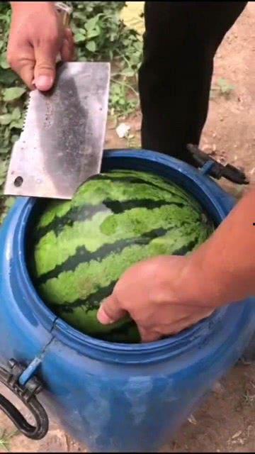 吃一桶瓜,探寻夏日消暑美食之旅