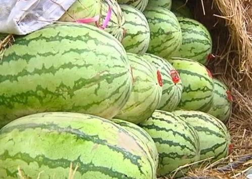 吃一桶瓜,探寻夏日消暑美食之旅