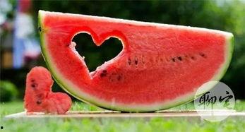 520吃瓜的样子,揭秘网络热议背后的真相