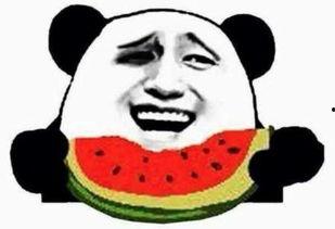 宝儿吃瓜群众,吃瓜群众的狂欢盛宴