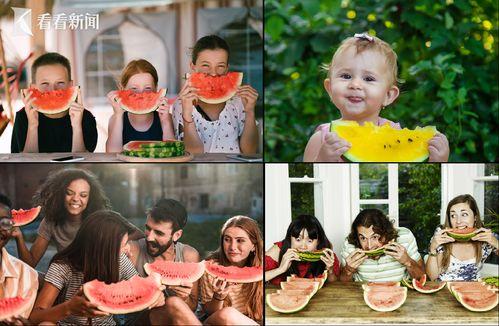 宝儿吃瓜群众,吃瓜群众的狂欢盛宴