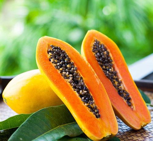 雅丽吃的大瓜内容,娱乐圈幕后真相大曝光