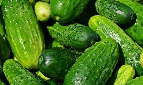 什么瓜菜可以隔夜吃