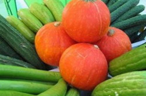 什么瓜菜可以隔夜吃