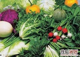 梦见摘别人瓜菜吃