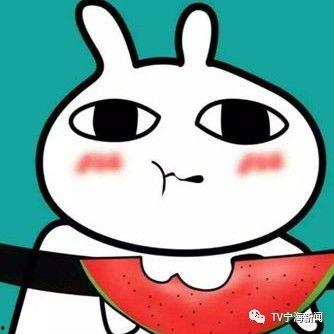 吃瓜表情养胃,揭秘吃瓜表情的养胃之道