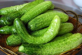 吃瓜民航,一场空中“瓜田”的狂欢