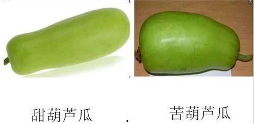 绿头发吃瓜,探寻神秘绿发族群的神秘瓜果传说