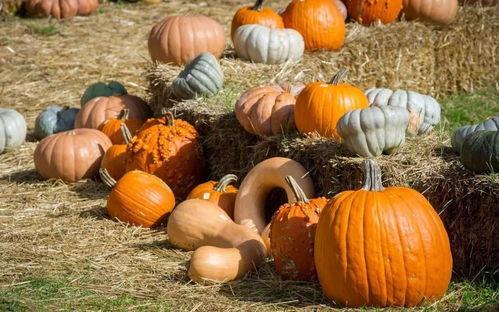 吃瓜爬墙,吃瓜爬墙，带你领略明星幕后生活