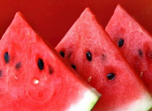 吃瓜专挖瓜心,专挖瓜心，品味生活点滴