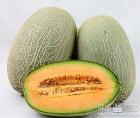 佩雷拉吃哈密瓜,佩雷拉畅享哈密瓜美味时光