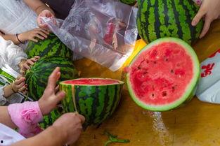 济南吃瓜的视频,一网打尽本地特色美食瞬间
