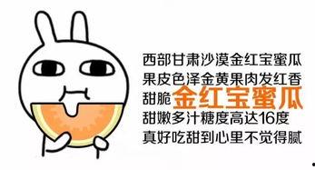 我就当吃瓜群众怎么回复,轻松解读热点事件