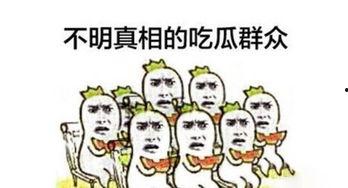 辰逸吃瓜群众,揭秘娱乐圈吃瓜群众的幕后故事