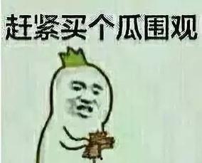 辰逸吃瓜群众,揭秘娱乐圈吃瓜群众的幕后故事