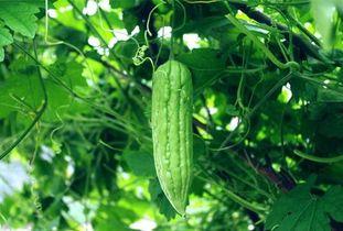 吃瓜每天一个瓜,揭秘娱乐圈那些不为人知的幕后故事