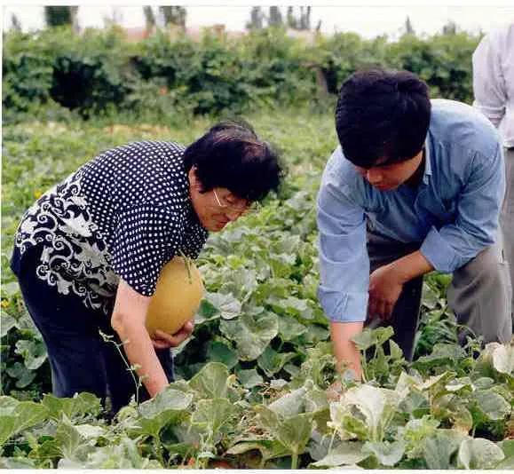 唐院吃瓜,揭秘校园热点事件背后的真相