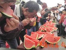 吃瓜文艺表演,一场别开生面的吃瓜文艺盛宴