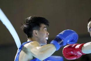 吃瓜拳击高手,揭秘赛场背后的风云人物