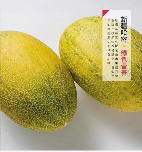 新疆瓜在哪吃,品味西域甜蜜之旅