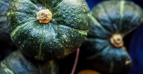 吃牛角瓜真实图片,大自然的独特美味，视觉与味蕾的双重盛宴