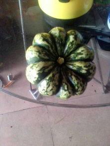 皮友吃瓜基地,揭秘娱乐圈幕后风云