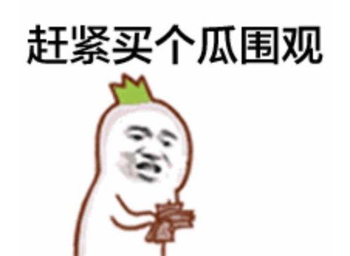 审核中吃瓜群众视频,吃瓜群众视角下的视频审核幕后