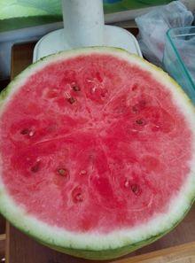 吃瓜美容医院,美丽“瓜”然