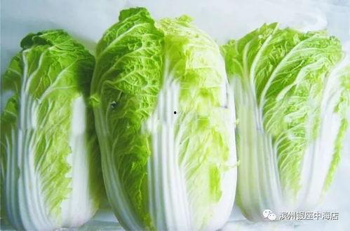 吃瓜大白温颜23,温颜23背后的故事与魅力